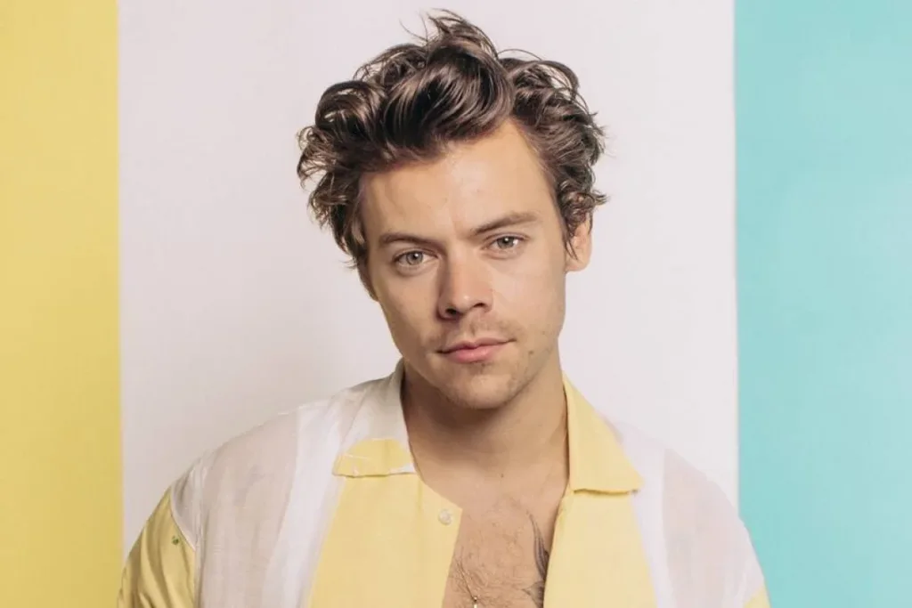 Show de Harry Styles em São Paulo é cancelado por "problema de saúde"