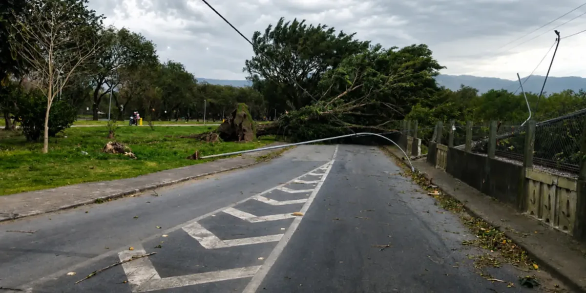 SP: ventania pode atingir 50 km/h no fim de semana