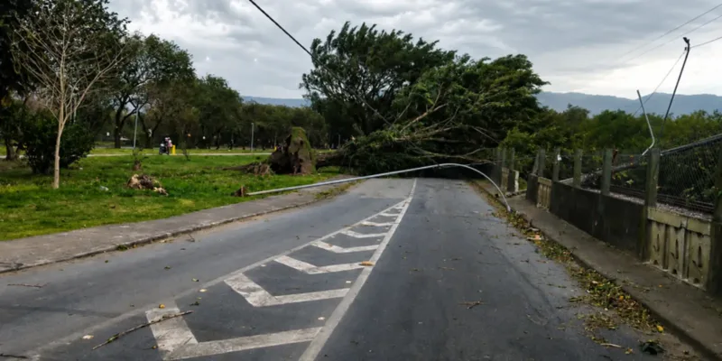 Sobe para três o número de mortes em SP devido à ventania