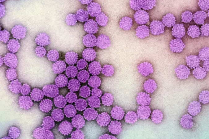Teste rápido para hepatites B e C fica pronto em até 30 minutos