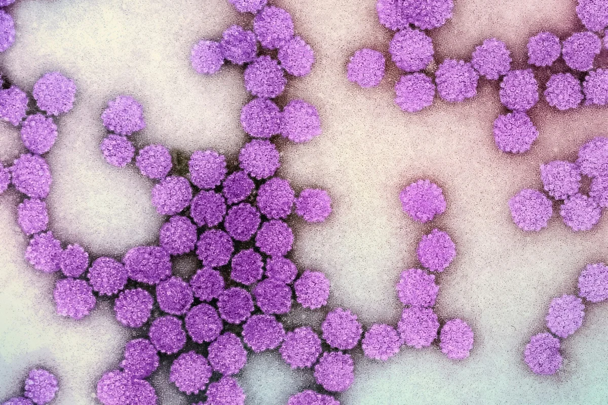 Teste rápido para hepatites B e C fica pronto em até 30 minutos