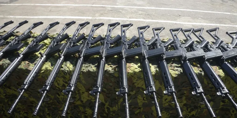 Forças de segurança do RJ terão de fazer recadastramento de armas