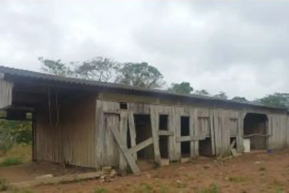 Trabalho escravo: homem dormia com porcos e se alimentava 1 vez ao dia