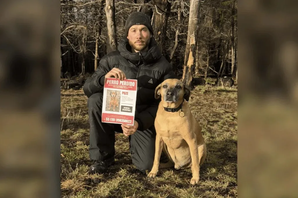 Tutores anunciam morte de cão Poze, que estava perdido na Argentina