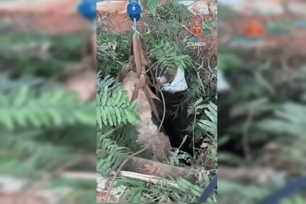 Vaca cai em cisterna e bombeiros montam força-tarefa em chácara do DF