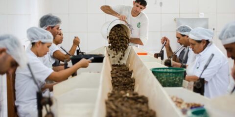 Consulta sobre bens sustentáveis no acordo Mercosul–UE acaba na quarta