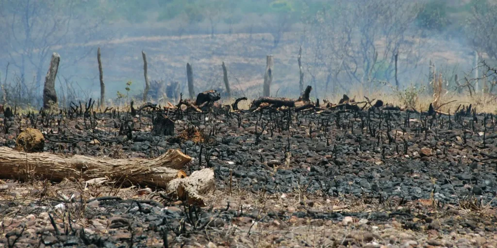Sociedade civil rejeita agenda excludente aprovada no início da COP17