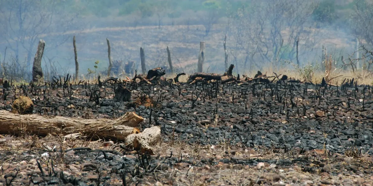 Sociedade civil rejeita agenda excludente aprovada no início da COP17