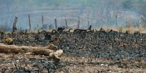 Sociedade civil rejeita agenda excludente aprovada no início da COP17