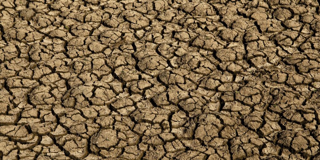 Risco de desertificação no Brasil ameaça segurança hídrica e alimentar