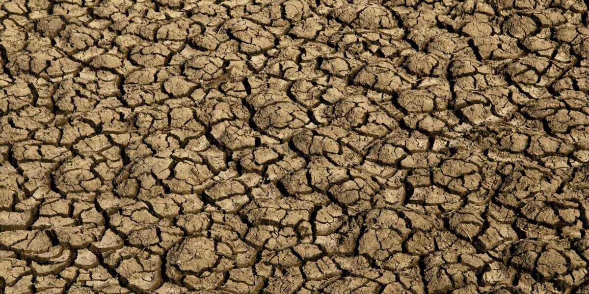Risco de desertificação no Brasil ameaça segurança hídrica e alimentar