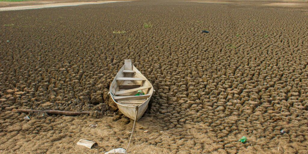 Brasil promete restaurar 163 mil km² de terras degradadas até 2030 