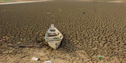 Brasil promete restaurar 163 mil km² de terras degradadas até 2030 
