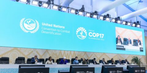 Afetada por disputas geopolíticas, COP17 termina com poucos avanços
