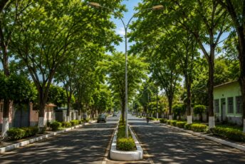 Imagem criada por inteligência artificial mostra projeção de como poderia ficar a Avenida Avelino Chaves com árvores e mais áreas verdes em Sena Madureira.