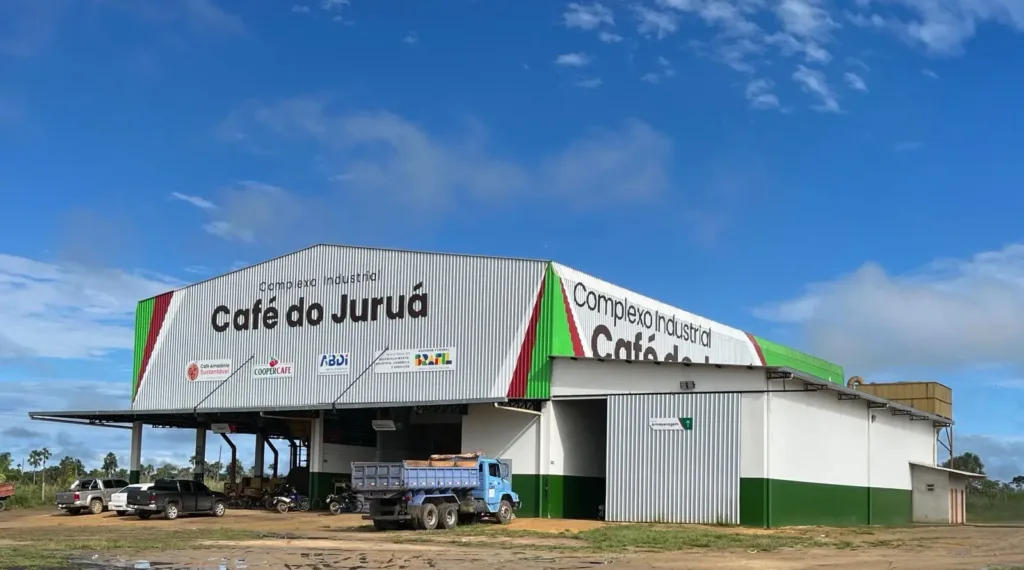 Café do Juruá supera expectativas e Mâncio Lima lidera produção no Acre.