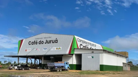 Café do Juruá supera expectativas e Mâncio Lima lidera produção no Acre.