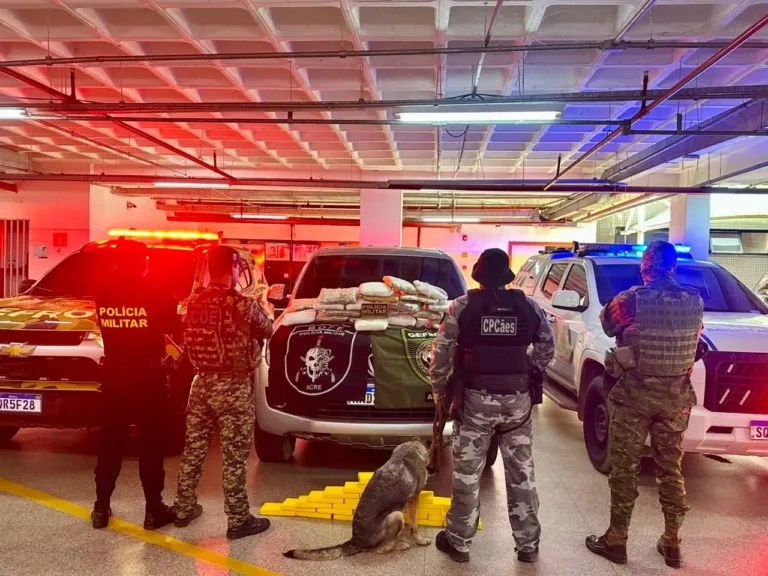 Cão ajuda polícia a localizar quase 40 kg de drogas em fundo falso de caminhonete.