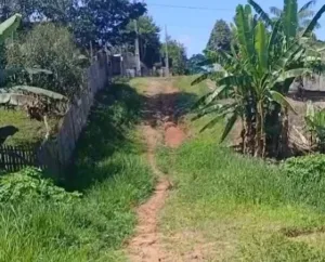 Moradores do Bairro Chaga de Castro em Manoel Urbano cobram melhorias em rua.