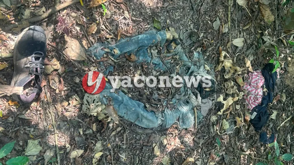 Comerciante encontra ossada humana em área de mata no bairro Portal da Amazônia em Rio Branco.