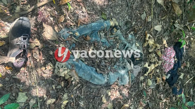 Comerciante encontra ossada humana em área de mata no bairro Portal da Amazônia em Rio Branco.