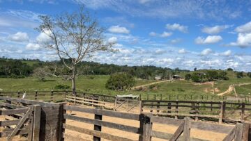 Propriedade rural na região da estrada entre Sena Madureira e Rio Branco.
