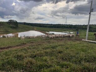 Propriedade rural Colônia Betel, localizada no KM 21, alvo de disputa judicial em Sena Madureira.