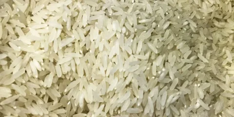 Terremoto: Brasil doará 10 toneladas de arroz à Colômbia