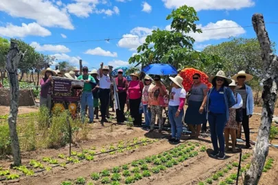 Associação pede multa de R$ 150 mil a agência de extensão rural