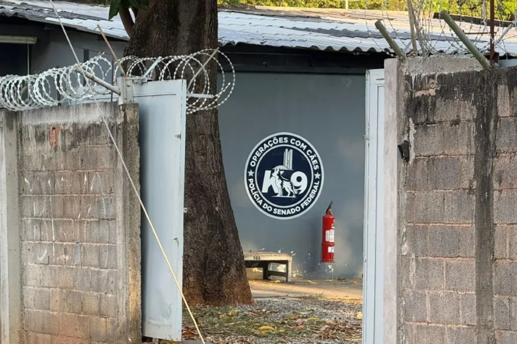 Canil do Senado é fechado após morte de veterinária atacada por cachorro