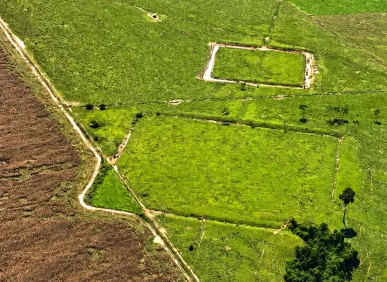 Civilização Aquiry no Acre pode ter reunido milhões de pessoas, diz estudo publicado na Nature