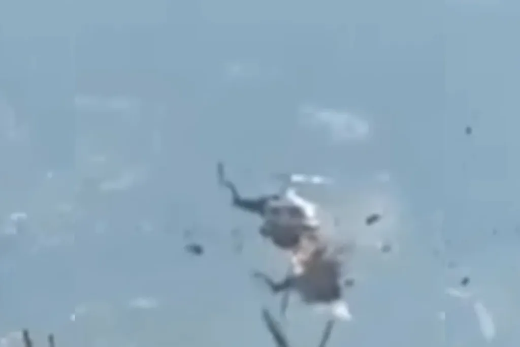 Colisão entre helicópteros na Grécia deixa dois mortos