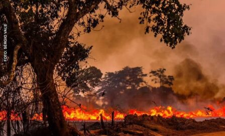 Acre reduz em 59% os focos de queimadas em 2026, aponta Inpe