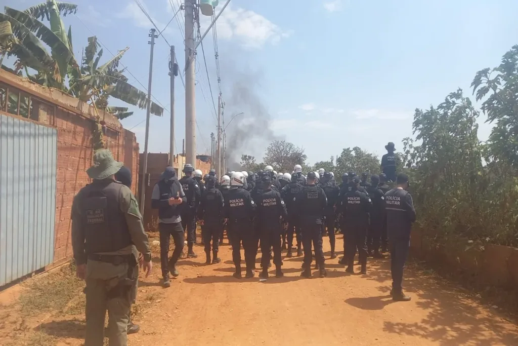 DF Legal volta a combater invasão em área do Parque Nacional de Brasília