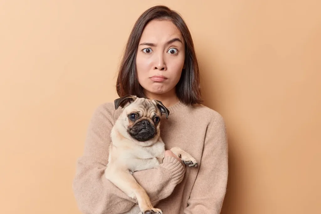 Dia do Cachorro: pet pode usar piscar de olhos para "falar" com tutor