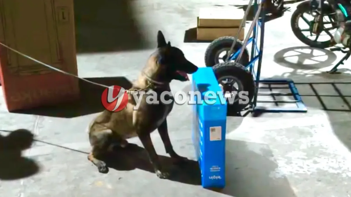 Força Tática e BOPE apreendem 3kg de drogas em encomenda de transportadora em Rio Branco