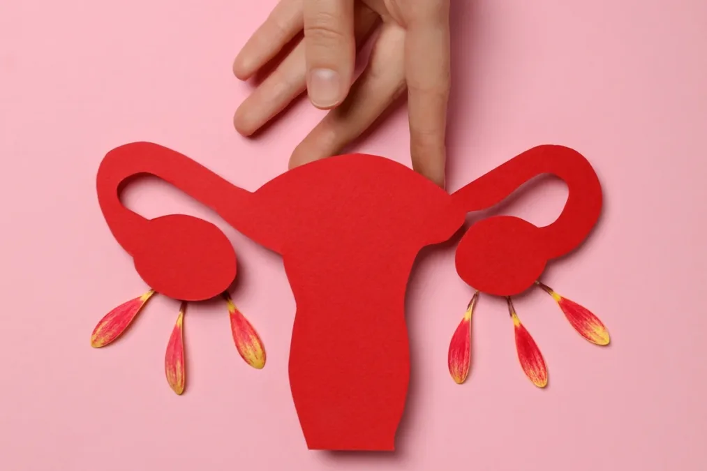 Estudo da USP testa reposição hormonal direcionada durante a menopausa
