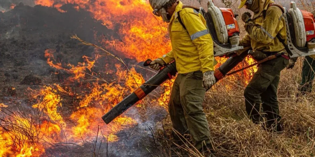 Focos de queimadas no Acre em julho de 2026 têm menor índice desde 2001, aponta Inpe