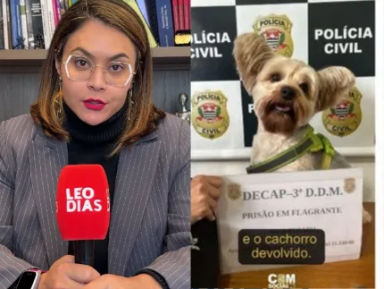 Advogada denuncia ameaças após atender mulher que teve cachorro sequestrado pelo ex