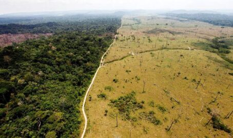 Fazenda e investigada por desmatamento de quase 16 hectares no interior do Acre pelo MPAC.