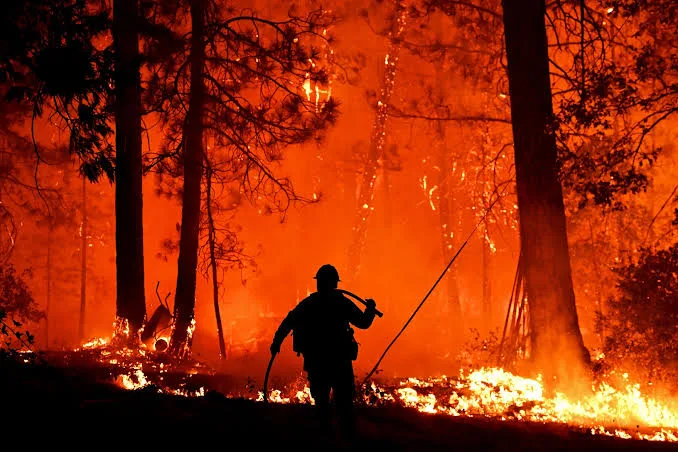 Acre soma quase 13 mil registros do Corpo de Bombeiros em 2026, aponta Sinesp