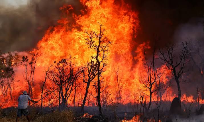 Acre registra queda de 22% nos focos de incêndio na primeira quinzena de agosto