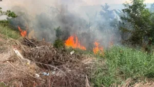 Incendio em vegetacao no bairro das Placas encobre bairros de Rio Branco com fumaça.