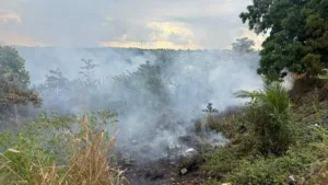 Incendio em vegetacao no bairro das Placas encobre bairros de Rio Branco com fumaça.