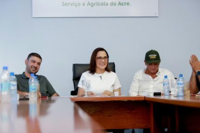 Setor madeireiro apoia reeleição de Mailza e cobra avanços ambientais no Acre