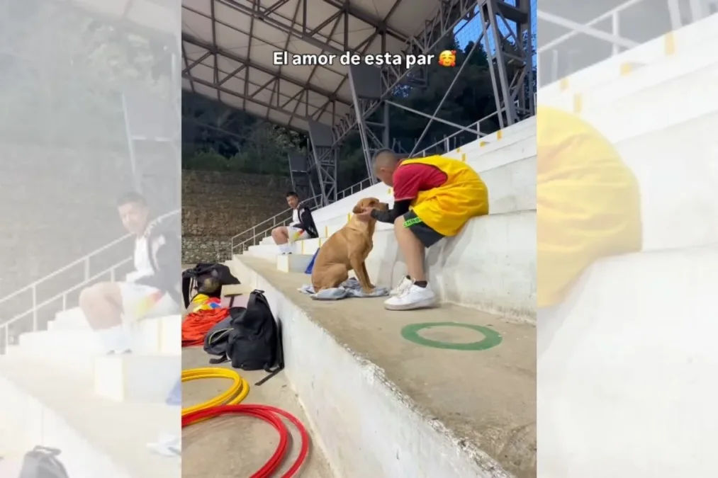 Menino leva cachorro para aula de futebol e carinho com o pet emociona web