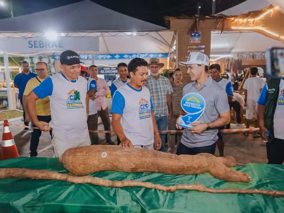 Festival da Farinha premia mandioca de 31,9 kg e raiz de 3,5 metros em Cruzeiro do Sul.