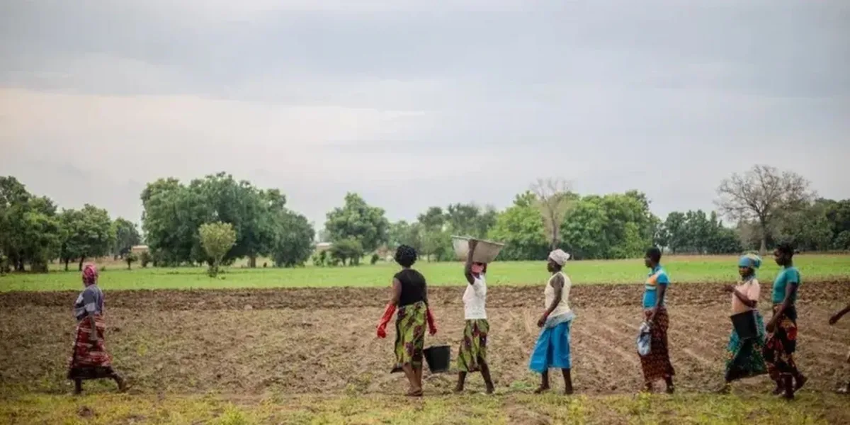 Grande Muralha Verde restaura 1,66 milhão de hectares na África