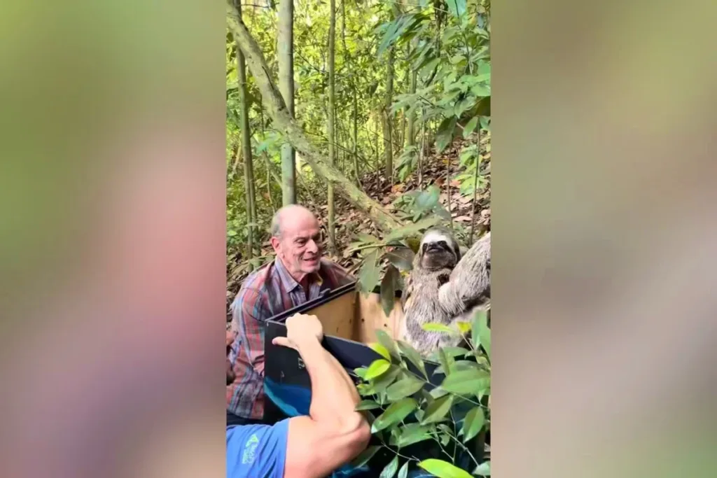 Ney Matogrosso mantém propriedade dedicada à preservação ambiental