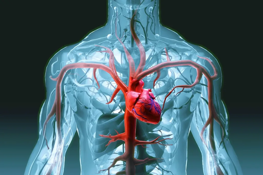 Nova classificação do infarto busca facilitar diagnóstico e tratamento